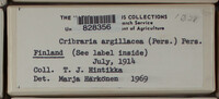 Image Associated With the Occurence